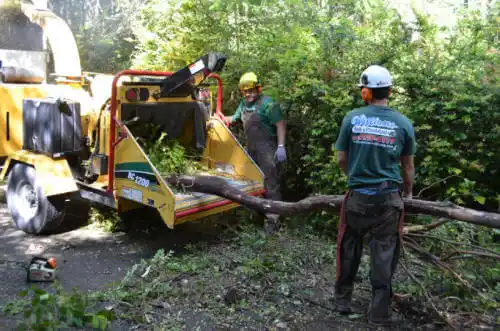 tree services Glenview